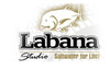 Labana Studio